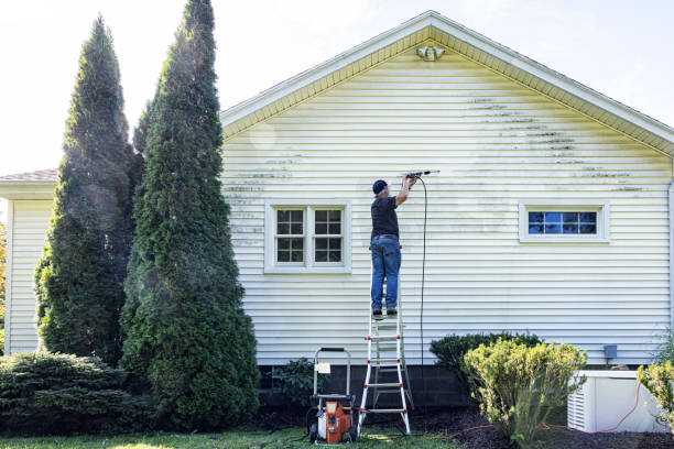 Best Driveway Pressure Washing  in Wink, TX